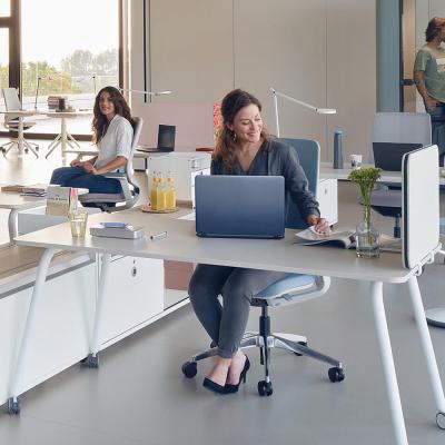 sedus-selabworkdesk-1.jpg